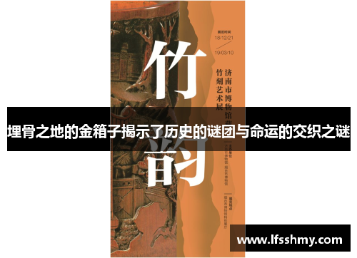 埋骨之地的金箱子揭示了历史的谜团与命运的交织之谜
