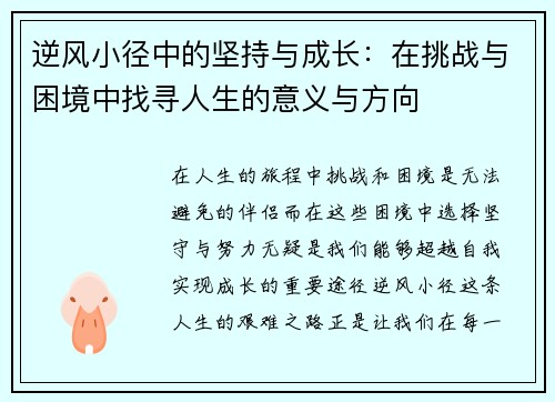 逆风小径中的坚持与成长：在挑战与困境中找寻人生的意义与方向